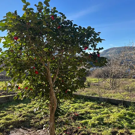 Casa Catalina - Ribeira Sacra