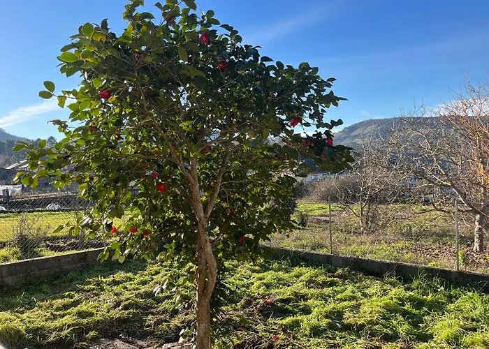 Casa Catalina - Ribeira Sacra