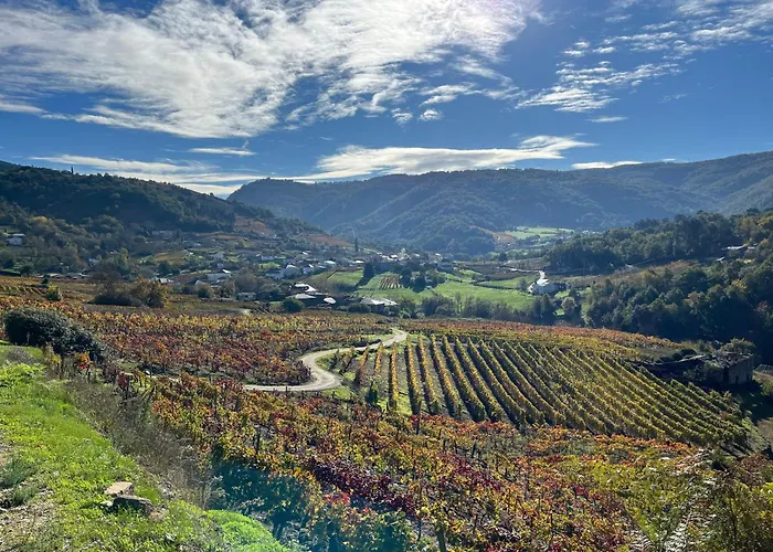 Casa Catalina - Ribeira Sacra * Abeleda