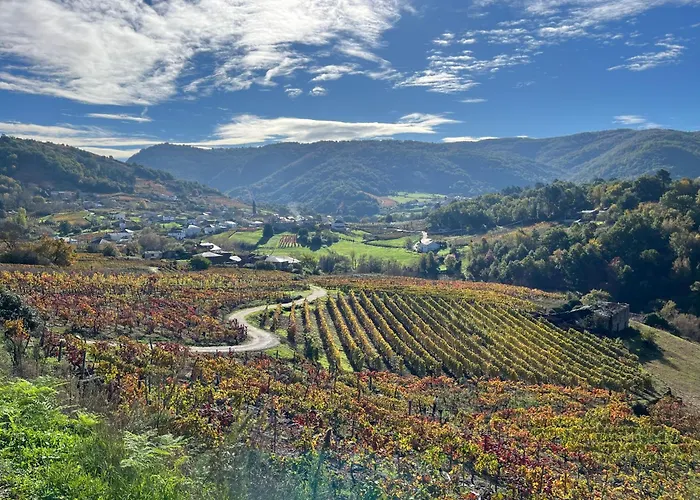 Casa Catalina - Ribeira Sacra Casa de Férias